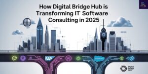 IT Software Consulting